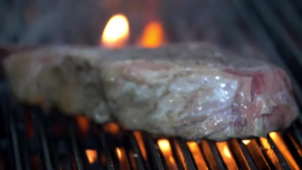 Saftig köttbit över elden på en grill — Stockvideo