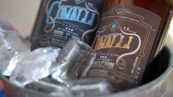 氷のバケツの中のクラフトビール2本 — ストック動画
