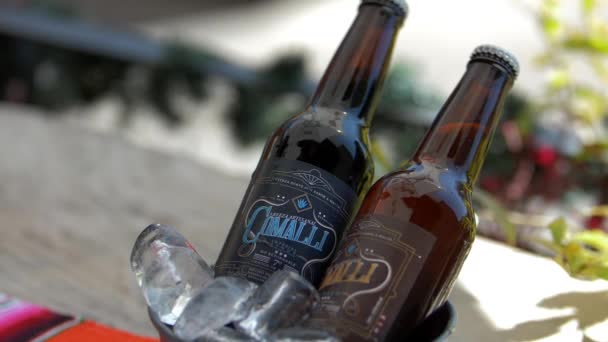 Dvě láhve řemeslného piva v kbelíku na led — Stock video