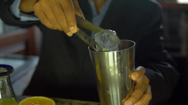 Bartender hands putting ice cube into a cocktail shaker — Stock Video