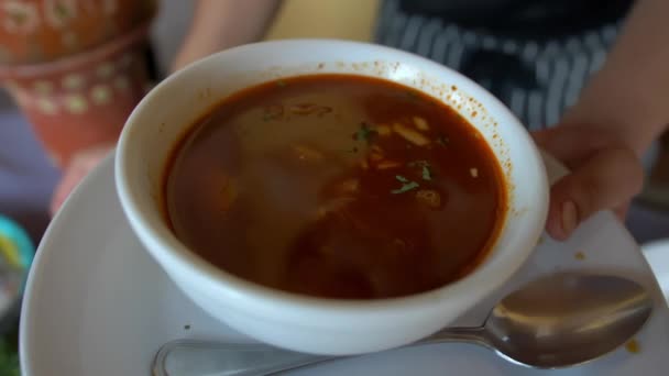 Cozinhe adicionando coentro picado e cebola a uma tigela de guisado de carne quente — Vídeo de Stock