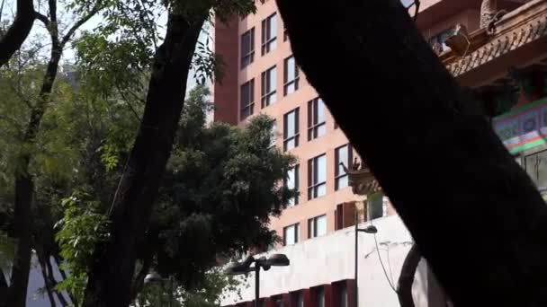 Tradycyjna brama chińska otoczona drzewami w Mexico City — Wideo stockowe