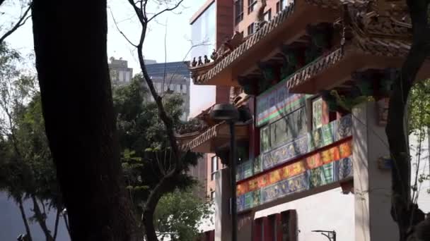 Puerta tradicional china rodeada de árboles en la Ciudad de México — Vídeo de stock