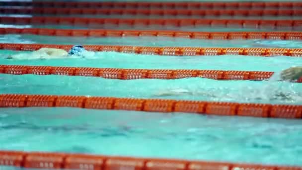 Lidé plavání v bazénu ve zpomaleném filmu — Stock video