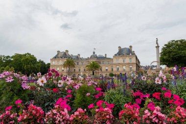 Lüksemburg Sarayı 'nın arka planında güzel ve renkli çiçekler var.