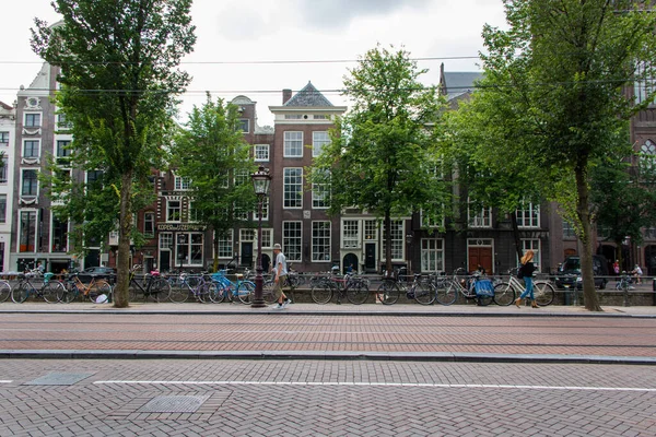 Huzurlu bir Avrupa caddesinde ağaçlar ve sıra sıra bisikletler