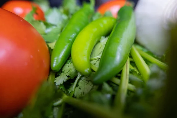 Papryka chili, cebula i pomidor nad kolendrą — Zdjęcie stockowe