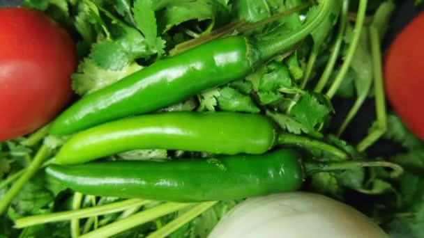 Chiles, cebolla y tomates encima de cilantro — Vídeos de Stock