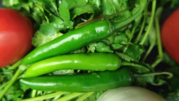 Chiles, cebolla y tomates encima de cilantro — Vídeos de Stock