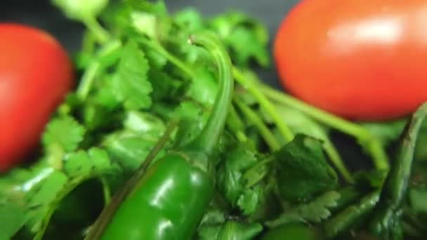 Chilischoten, Zwiebeln und eine Tomate über Koriander — Stockvideo
