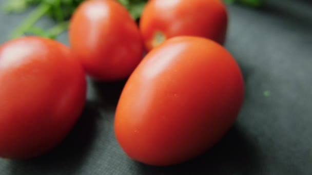 Tomates y cilantro sobre una mesa azul oscuro — Vídeos de Stock