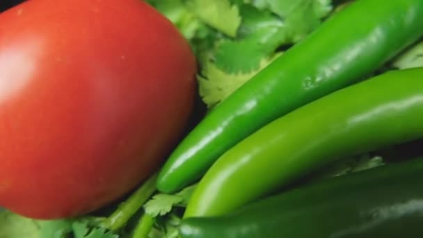 Chiles, cebolla y tomates encima de cilantro — Vídeos de Stock