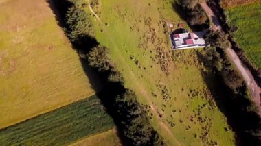 Küçük bir kasaba ve uzak dağları olan bir orman.