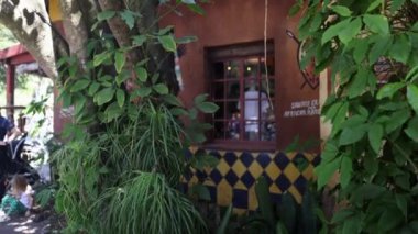 Bitkilerin ve ağaçların arkasındaki kırmızı duvardaki pencere