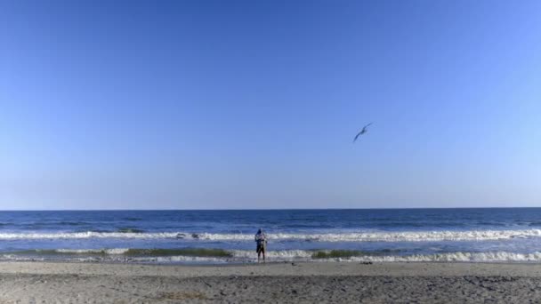 Persona de pie en la playa con olas pacíficas como fondo — Vídeo de stock