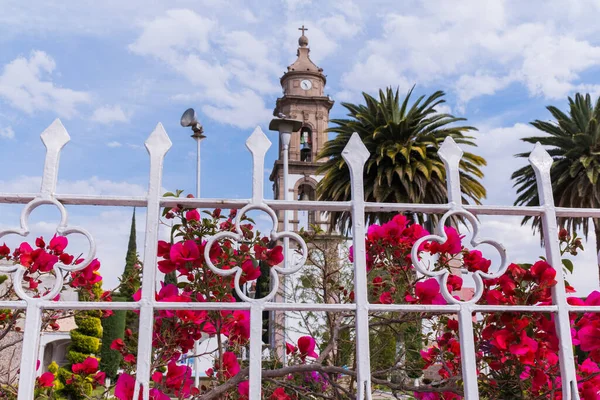 Régi mexikói templom és pálmafák mögül fehér kerítés és rózsaszín virágok — Stock Fotó