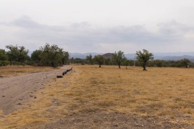 Arka planda ağaçlar ve Teotihuacan piramidi olan kuru çimen alanı