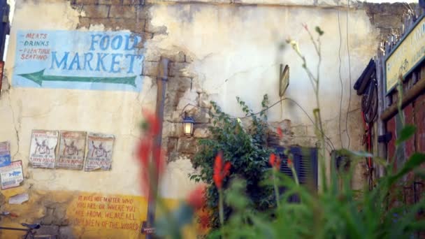 Glad uitzicht op oude rustieke muren achter wazige plant — Stockvideo