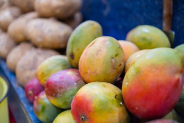 Renkli meyve tezgahlarının yakın çekimleri Keitt mangoları ve pijamalarıyla