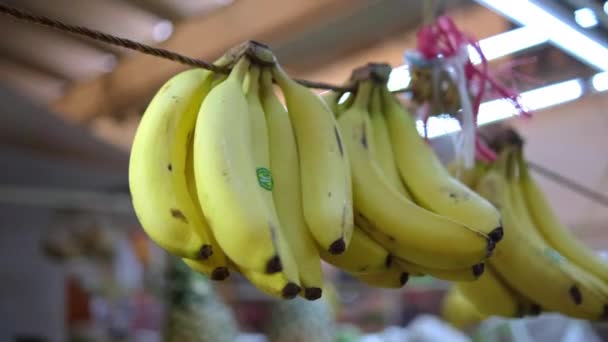 Banane fresche appese nel mercato con sfondo sfocato — Video Stock