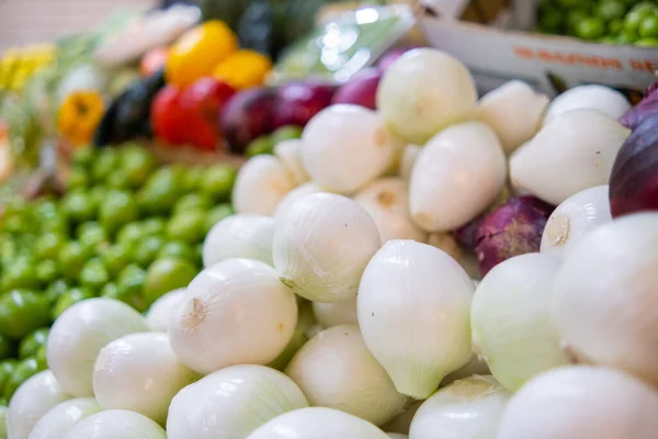 Барвисті овочі стоять з цибулею, зеленими помідорами, болгарським перцем та іншими — стокове фото