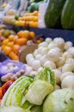 Renkli meyve ve sebzeler karpuz, marul, soğan ve daha fazla