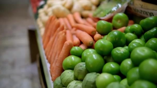 五彩斑斓的蔬菜里有绿色的西红柿、胡萝卜、土豆等等 — 图库视频影像