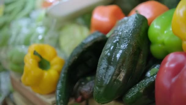 Close-up of colorful vegetable stand with bell peppers, nopales, and more — Stok Video
