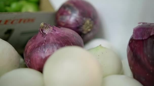 Colorful vegetables stand with onions and green tomatoes — Stock Video