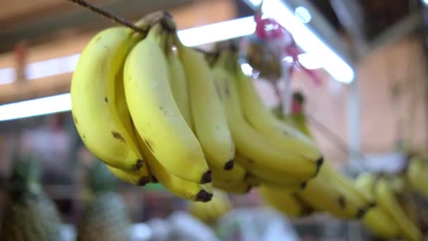 Färska bananer hängande på marknaden med suddig bakgrund — Stockvideo