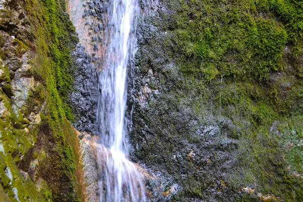 Pequeña Cascada Sobre Fondo Rocoso Piedra Montaña Cubierta Musgo Verde — Foto de Stock