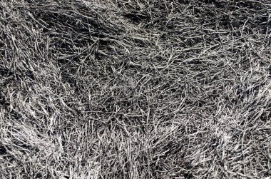 Yanmış otların küllerinden arkaplan. Yangın çıktıktan sonra tarlaya kül ekin..