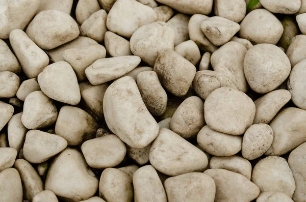 White pebble on the small garden ground inside the house. Background of natural white pebbles texture is a lot of gravel
