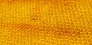 Altıgen desenli bal peteği arkaplanı yakın plan