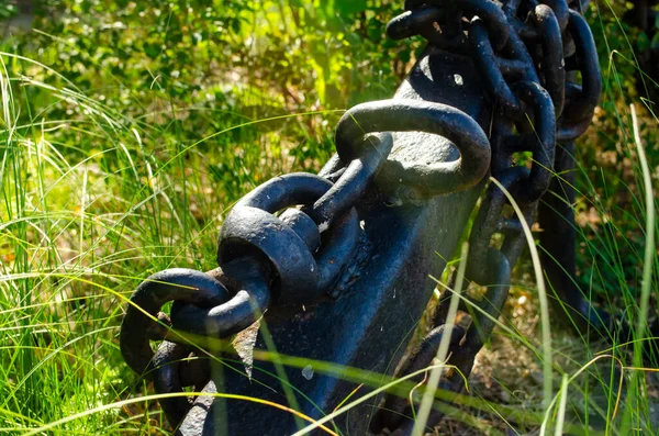 Anchor with a chain in the grass in the rays of the summer sun. The concept of missed opportunities, rigor, uselessness