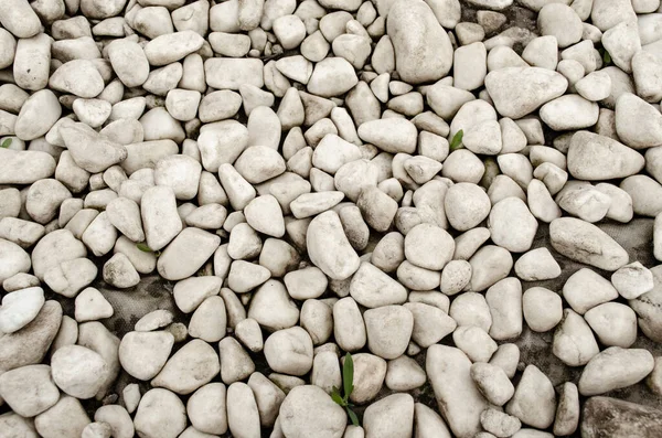 White pebble on the small garden ground inside the house. Background of natural white pebbles texture is a lot of gravel, abstract background