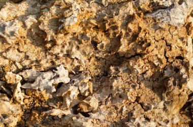 Eski çürük ahşap doku arka planı. Toprak ve çiziklerle eski hasarlı arka plan dokusu. Çürümüş ahşap termitler tarafından yenir çünkü termitler odun tüketmeyi tercih ederler. Soyut doğal arkaplan, çürük bir ağaç gövdesine yakın.