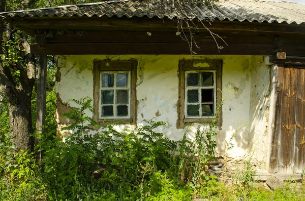 Old wooden rustic house plastered with clay and painted with white clay among flowering meadow grasses. House with cracked clay walls and wooden windows. Traditional cottage made of wood and clay