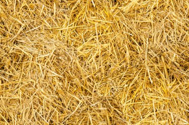 Saman balyası arka planı. Tarım konsepti için saman dokusu