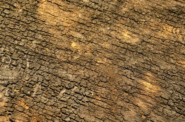 Gros plan sur le bois pourri, texture du vieux bois abîmé, couleur marron. bureau de grunge en bois. Fond bois — Photo