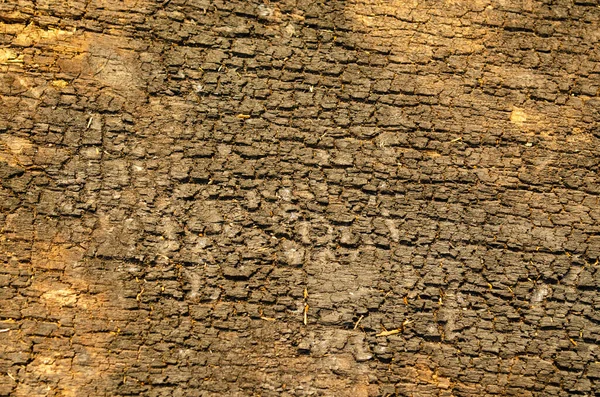 腐敗した木のクローズアップ、古い腐った木の質感は、茶色の色を損傷しました。ウッド・グランジ・デスク。木の背景 — ストック写真