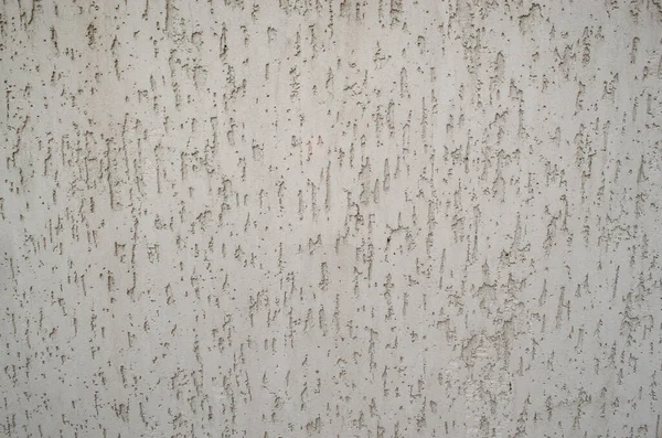 De achtergrond van de verhoogde witte wand is afgewerkt met decoratief gips. Geschilderde platte fade grijze achtergrond massief muur graan. — Stockfoto