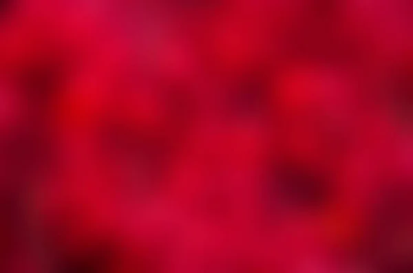 Kleurrijke Rode Abstracte Achtergrond Tekst Voor Titel — Stockfoto