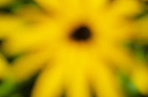 Абстрактний Розмитий Жовтий Фон Чорною Плямою Розмитий Жовтий Квітковий Фон — стокове фото