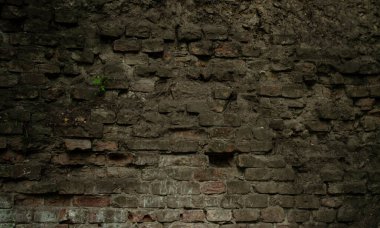 Kirli kahverengi eski tuğla duvar dokusu. Duvarın içinden bir ağaç filizleniyor. Zemini olan kasvetli, karanlık arka plan duvarı. Bir tepenin üstündeki kaygan toprağı içerecek duvar