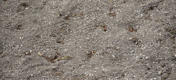 Bakgrundsbild av kalkstensjord med mönsterstruktur. Svårigheter vid jordbearbetning. Jordbruk — Stockfoto