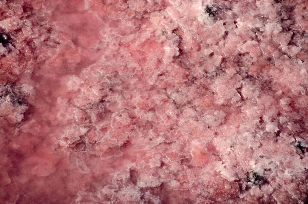 Tuz kristalli pembe tuzlu bir gölün yüzeyi. Kırmızı, tuzlu suda canlı bir bakteri. Tuzun doğal yoldan çıkarılması. Doğal doğal arkaplan