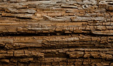 Çürüyen odunlara yakın çekim, bozulmuş eski ahşap dokusu, kahverengi sıcak renk. Doğal ahşap doku..