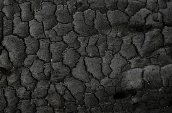 Koyu gri siyah kömürler doku ile doğal yangın külleri. Yanıcı siyah sert bir kayadır. Metin için alan.