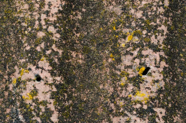 The surface of the old, corrugated slate. Close-up top view. Light gray slate is abundantly covered with dark gray spots, yellow and red lichen. A texture or background. Copy space. — Stock Photo, Image